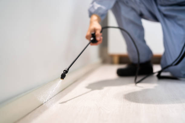 Licensed Pest Control service in Williamston, MI - Show Me Pest Control