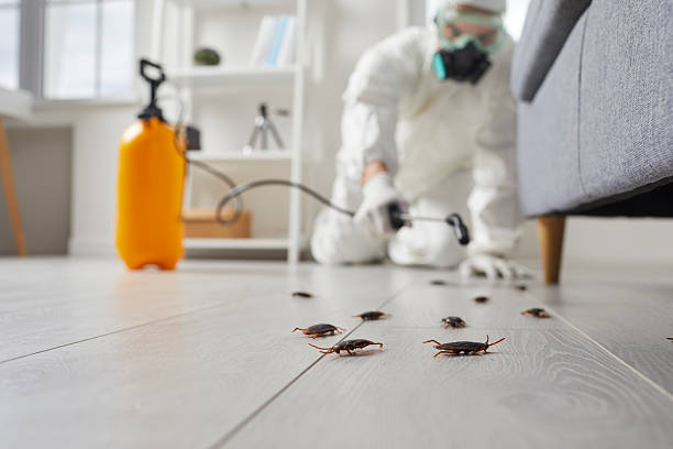 Commercial Kitchen Cockroach Control in Williamston